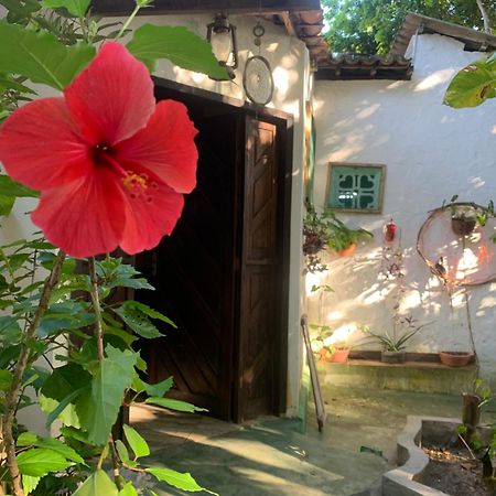 Conjunto Sol Roots Villa Praia de Pipa Eksteriør billede